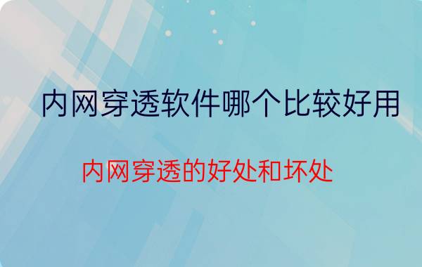 内网穿透软件哪个比较好用 内网穿透的好处和坏处